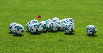 1xBit体育培训-沃尔夫斯堡惨遭逆转，遭遇两连败颓势难挽回，沃尔夫斯堡vfl